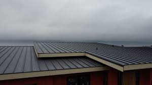 Best Solar Panel Roofing Installation  in Elmo, TX